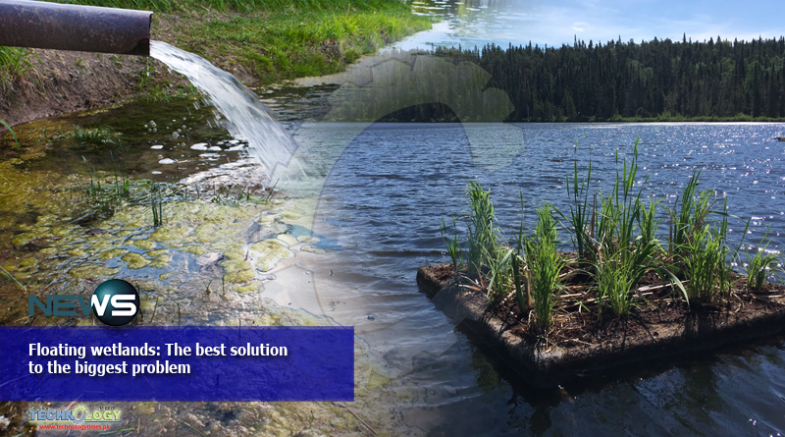 Floating-wetlands-The-best-solution-to-untreated-sewage-water-785x437.png